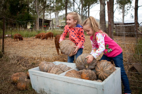 Tommerups Dairy Farmstay - Accommodation Main Beach 2