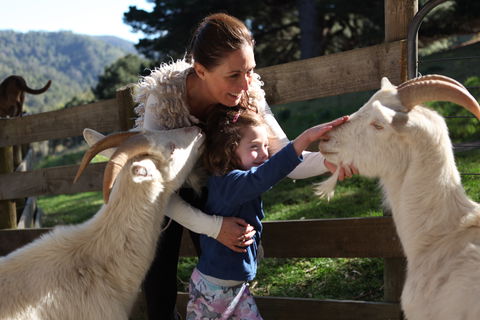 Valley View Nature Retreat - Accommodation Main Beach 1