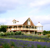 Serendipity Lavender Farm - Accommodation Main Beach