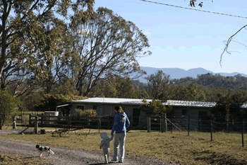 Bumblebrook Farm Motel - Accommodation Main Beach