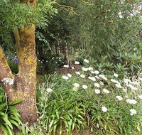 Springbank Bed and Breakfast - Accommodation Main Beach