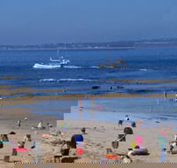 QueenscliffeTourist Park - Accommodation Main Beach