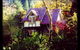 Forest Glade Olinda - thumb 0