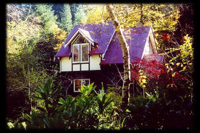 Forest Glade Olinda - Accommodation Main Beach 0