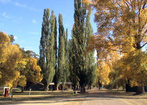 Omeo Caravan Park - Accommodation Main Beach 0