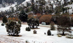 Omeo Caravan Park - Accommodation Main Beach 1
