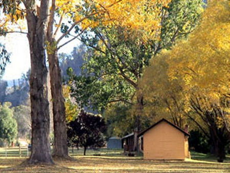 Omeo Caravan Park - Accommodation Main Beach 4