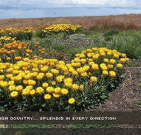 Alpine View Apartments