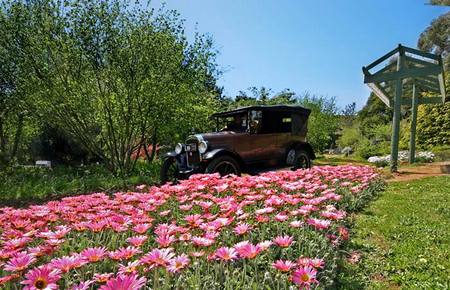 Brilynbrook Country Accommodation - Accommodation Main Beach 5