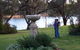 Milduras Linsley House B And B - thumb 2