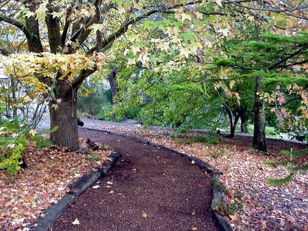 Brigadoon Cottages - Accommodation Main Beach 3