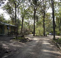 Lakes Bushland Caravan Park - Accommodation Main Beach