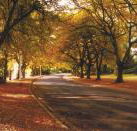La Trobe at Beechworth - Accommodation Main Beach