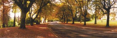 La Trobe At Beechworth - Accommodation Main Beach 0