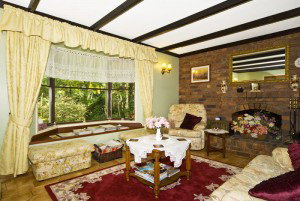 Curtis Falls Mountain Retreat - Accommodation Main Beach 1