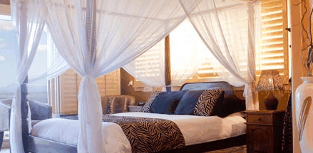 Avocado Sunset - Accommodation Main Beach 2