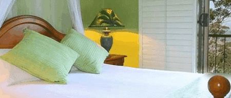 Avocado Sunset - Accommodation Main Beach 3