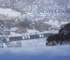Snowy Gums Chalet - Accommodation Main Beach 0