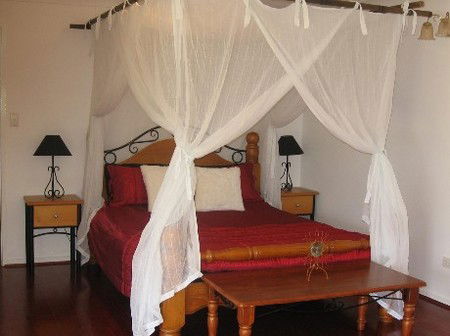 Attunga Park Country Retreat - Accommodation Main Beach 4