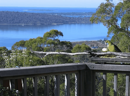 Bed in the Treetops - Accommodation Main Beach
