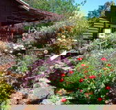 Chestnut Brook Cottage - Accommodation Main Beach