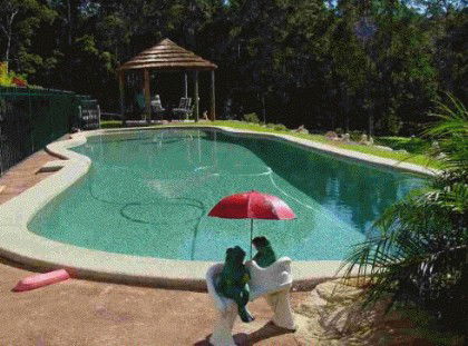 Greenacres Bed And Breakfast - Accommodation Main Beach 4