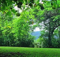 Misty Mountain Retreat - Accommodation Main Beach