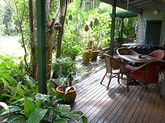Byron Rainforest Villa - Accommodation Main Beach 1