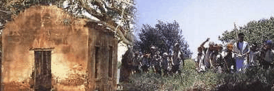 St Helena Island - Accommodation Main Beach 1