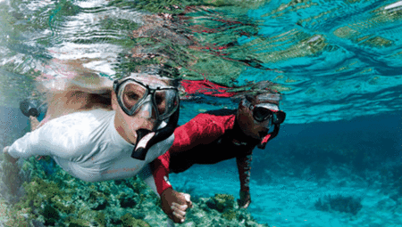 Snorkel Safari Brisbane - Accommodation Main Beach 1