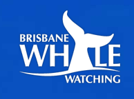 Brisbane Whale Watching - Accommodation Main Beach 3