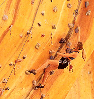Rocksports Indoor Climbing - Accommodation Main Beach