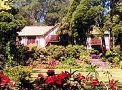  Accommodation Main Beach