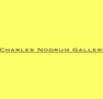 Charles Nodrum Gallery - Accommodation Main Beach 0