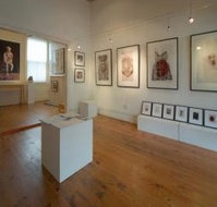 Bird's Gallery - Accommodation Main Beach