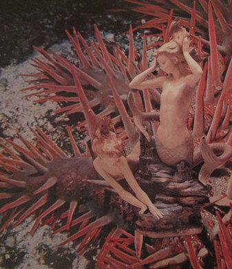 Bower Gallery - Accommodation Main Beach 1