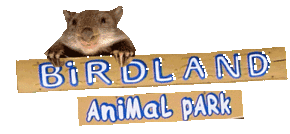 Birdland Animal Park - Accommodation Main Beach
