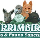 Wirrimbirra Sanctuary - Accommodation Main Beach
