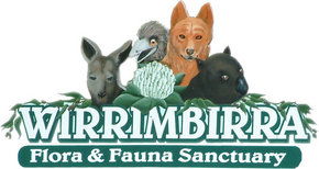 Wirrimbirra Sanctuary - Accommodation Main Beach 0