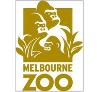 Melbourne Zoo - Accommodation Main Beach