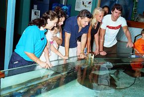Underwater World - Accommodation Main Beach 3