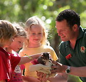 Cleland Wildlife Park - Accommodation Main Beach