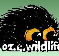 OZe Wildlife - Accommodation Main Beach
