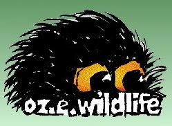 OZe Wildlife - Accommodation Main Beach 0