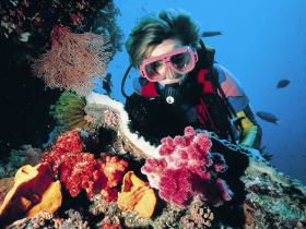 Gold Coast Seaway Dive Site - Accommodation Main Beach 0
