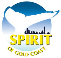 Spirit of Gold Coast Whale Watching - Accommodation Main Beach