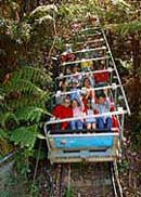 Scenic World Blue Mountains - Accommodation Main Beach 2