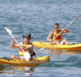 Manly Kayaks - Accommodation Main Beach