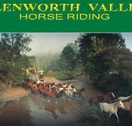 Glenworth Valley Horseriding - Accommodation Main Beach