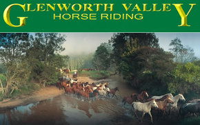 Glenworth Valley Horseriding - Accommodation Main Beach 0